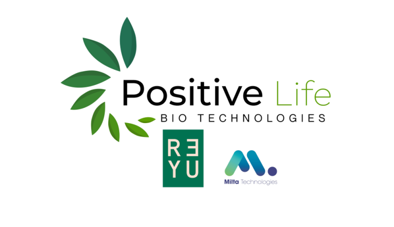 POSITIVE LIFE : REYU - MILTA